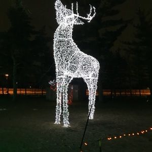 Meet your Posher, Agnes